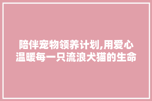 陪伴宠物领养计划,用爱心温暖每一只流浪犬猫的生命旅程