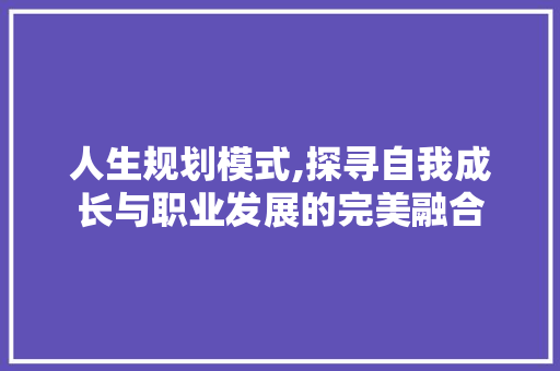 人生规划模式,探寻自我成长与职业发展的完美融合