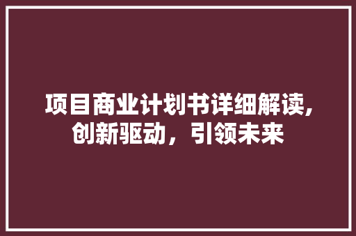 项目商业计划书详细解读,创新驱动，引领未来