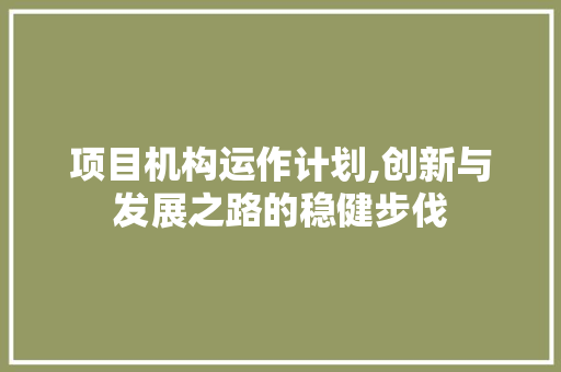 项目机构运作计划,创新与发展之路的稳健步伐