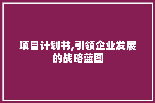 项目计划书,引领企业发展的战略蓝图