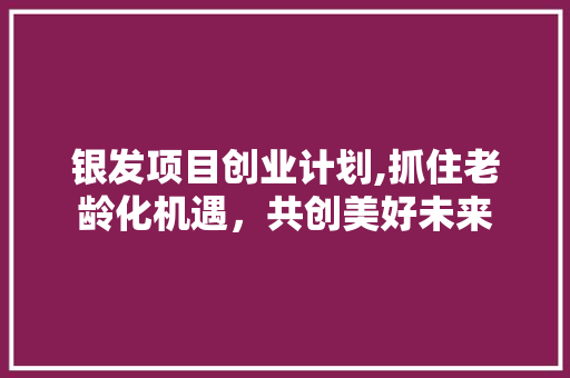 银发项目创业计划,抓住老龄化机遇，共创美好未来