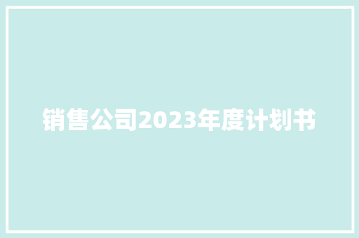 销售公司2023年度计划书