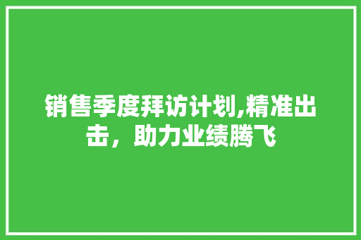 销售季度拜访计划,精准出击，助力业绩腾飞