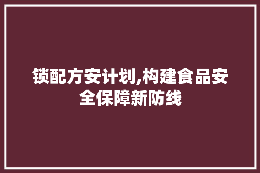 锁配方安计划,构建食品安全保障新防线