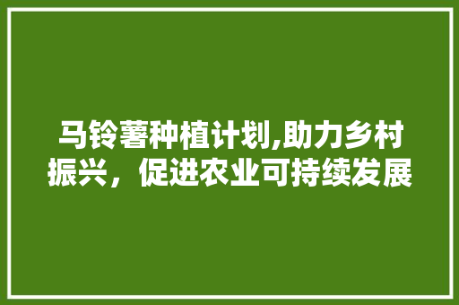 马铃薯种植计划,助力乡村振兴，促进农业可持续发展