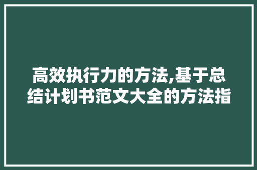 高效执行力的方法,基于总结计划书范文大全的方法指南