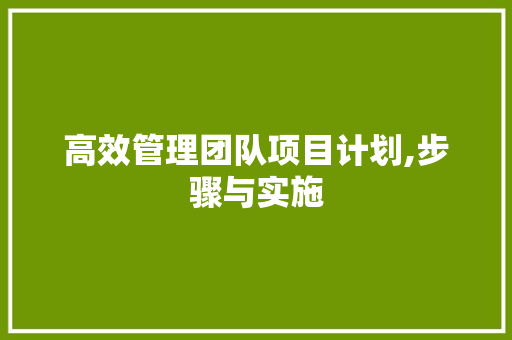 高效管理团队项目计划,步骤与实施