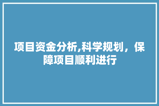 项目资金分析,科学规划，保障项目顺利进行