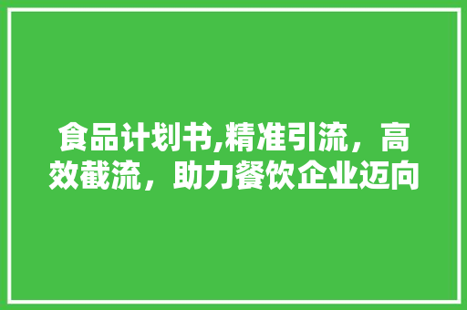 食品计划书,精准引流，高效截流，助力餐饮企业迈向成功