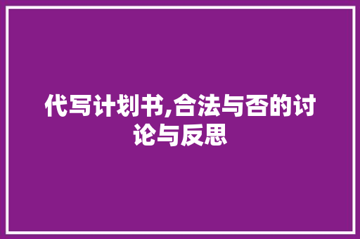 代写计划书,合法与否的讨论与反思