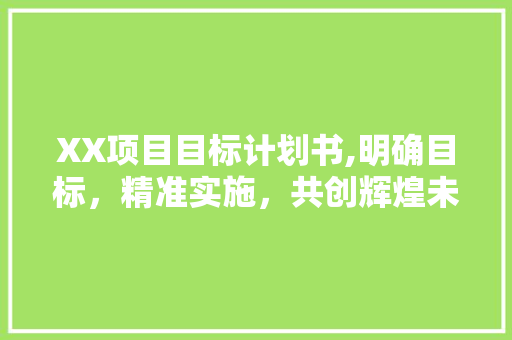 XX项目目标计划书,明确目标，精准实施，共创辉煌未来