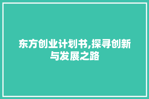 东方创业计划书,探寻创新与发展之路