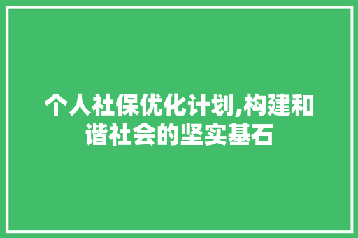 个人社保优化计划,构建和谐社会的坚实基石