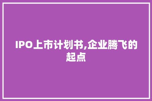 IPO上市计划书,企业腾飞的起点