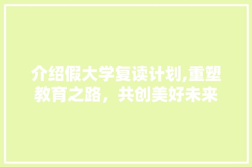 介绍假大学复读计划,重塑教育之路，共创美好未来 商业文稿