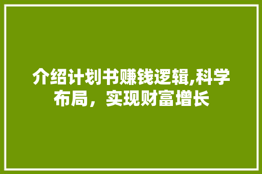 介绍计划书赚钱逻辑,科学布局，实现财富增长 特写稿