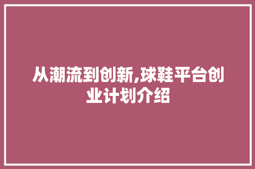 从潮流到创新,球鞋平台创业计划介绍