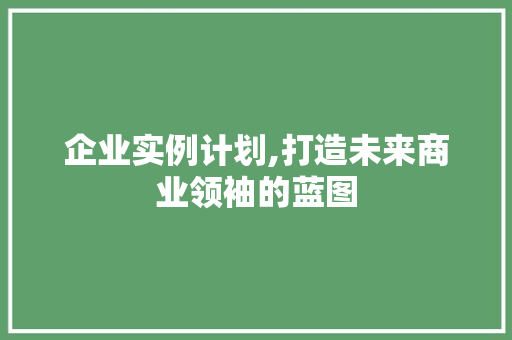 企业实例计划,打造未来商业领袖的蓝图