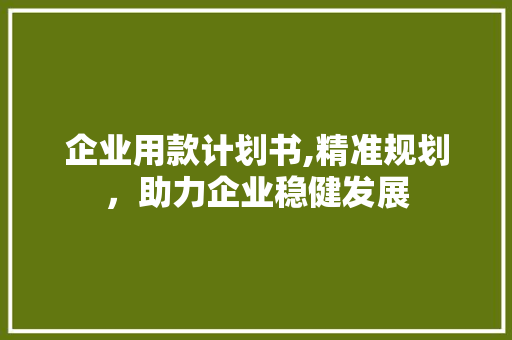 企业用款计划书,精准规划，助力企业稳健发展