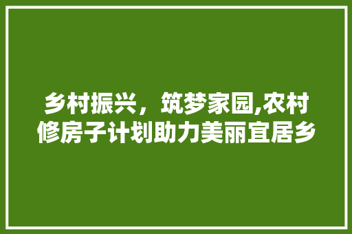 乡村振兴，筑梦家园,农村修房子计划助力美丽宜居乡村建设 商业文稿
