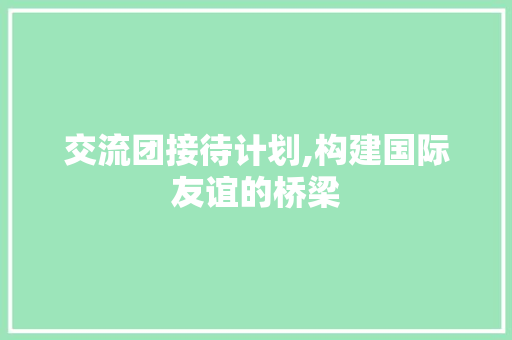交流团接待计划,构建国际友谊的桥梁 生活感悟