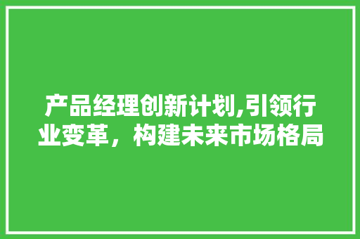 产品经理创新计划,引领行业变革，构建未来市场格局