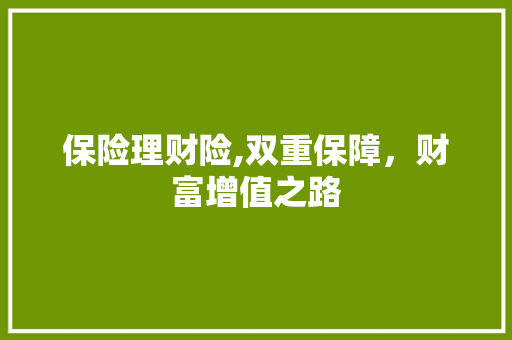 保险理财险,双重保障，财富增值之路