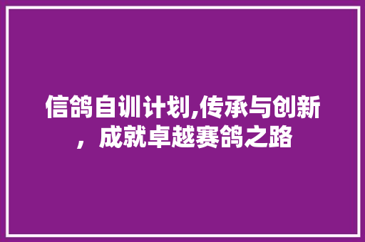 信鸽自训计划,传承与创新，成就卓越赛鸽之路 工作报告