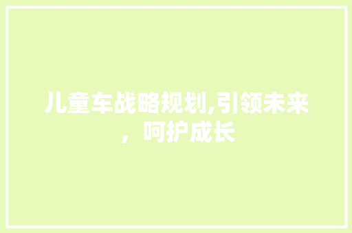 儿童车战略规划,引领未来，呵护成长
