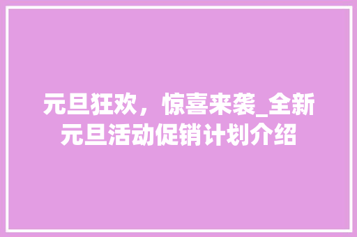 元旦狂欢，惊喜来袭_全新元旦活动促销计划介绍