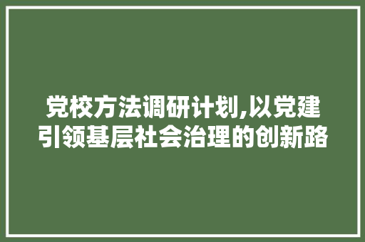 党校方法调研计划,以党建引领基层社会治理的创新路径探析 生活感悟