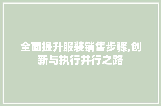 全面提升服装销售步骤,创新与执行并行之路