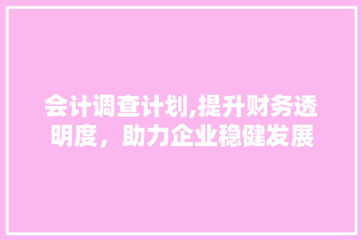 会计调查计划,提升财务透明度，助力企业稳健发展