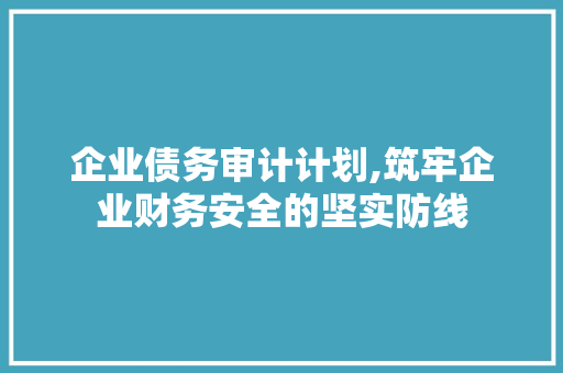 企业债务审计计划,筑牢企业财务安全的坚实防线