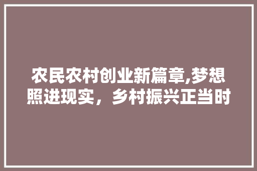农民农村创业新篇章,梦想照进现实，乡村振兴正当时