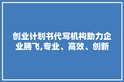 创业计划书代写机构助力企业腾飞,专业、高效、创新