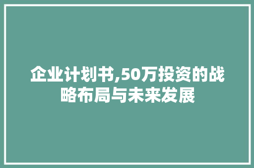 企业计划书,50万投资的战略布局与未来发展