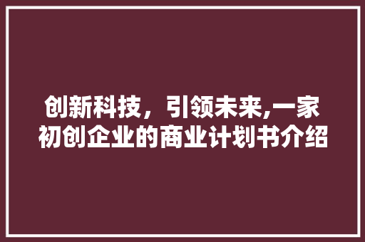 创新科技，引领未来,一家初创企业的商业计划书介绍