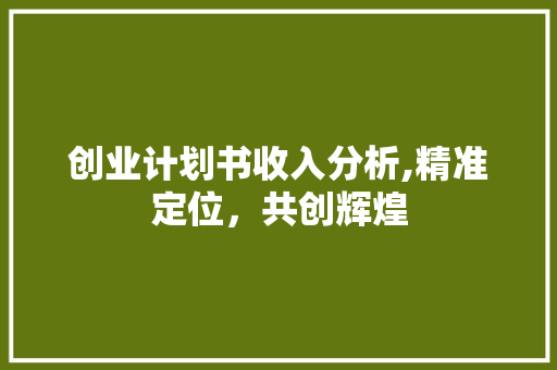 创业计划书收入分析,精准定位，共创辉煌