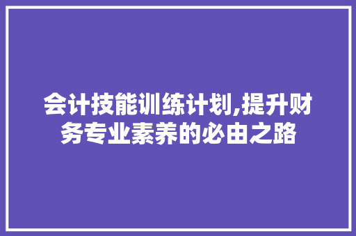 会计技能训练计划,提升财务专业素养的必由之路
