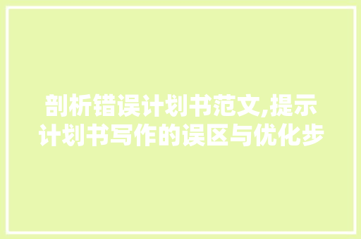 剖析错误计划书范文,提示计划书写作的误区与优化步骤