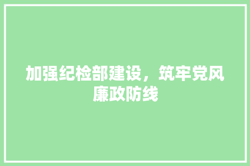 加强纪检部建设，筑牢党风廉政防线