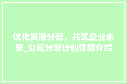 优化资源分配，共筑企业未来_公司分配计划详细介绍