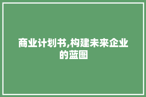 商业计划书,构建未来企业的蓝图