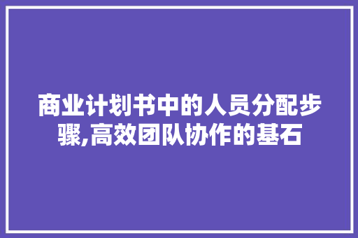 商业计划书中的人员分配步骤,高效团队协作的基石