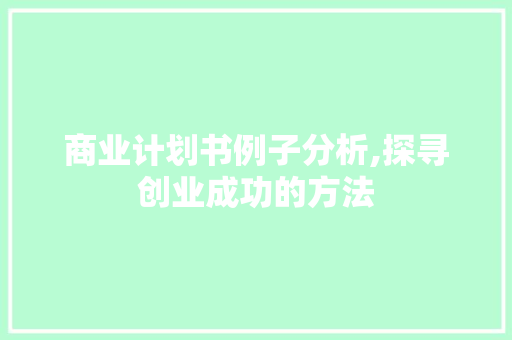 商业计划书例子分析,探寻创业成功的方法