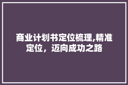 商业计划书定位梳理,精准定位，迈向成功之路
