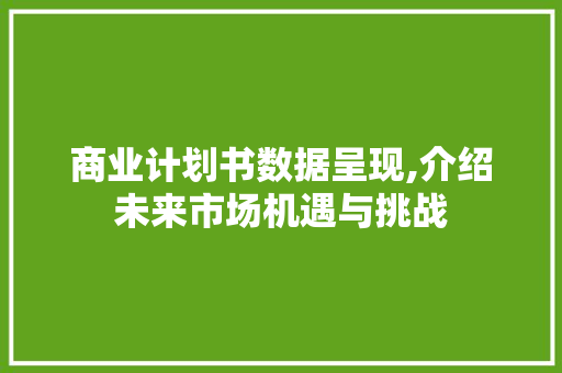 商业计划书数据呈现,介绍未来市场机遇与挑战