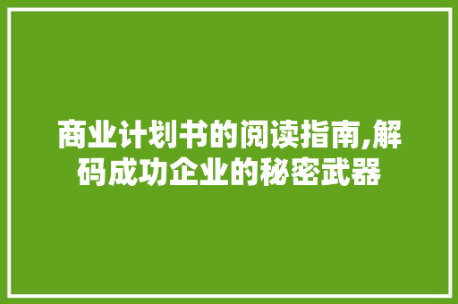 商业计划书的阅读指南,解码成功企业的秘密武器